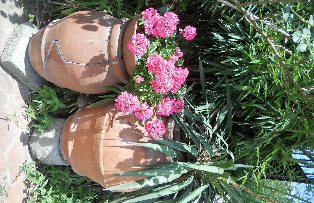 Agriturismo Le Macine-1